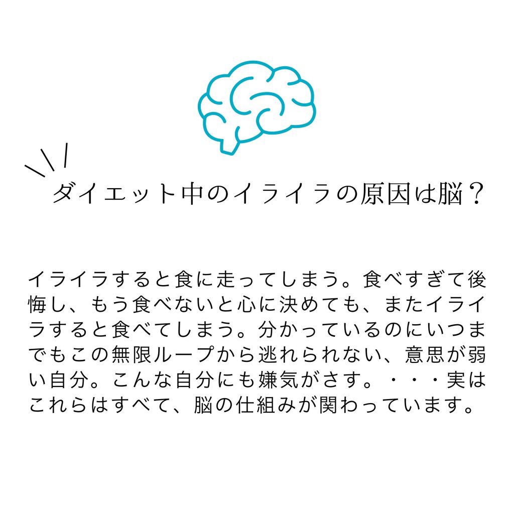 ダイエットするなら脳のことを知りましょう。 ダイエットセミナーのご案内の紹介画像3
