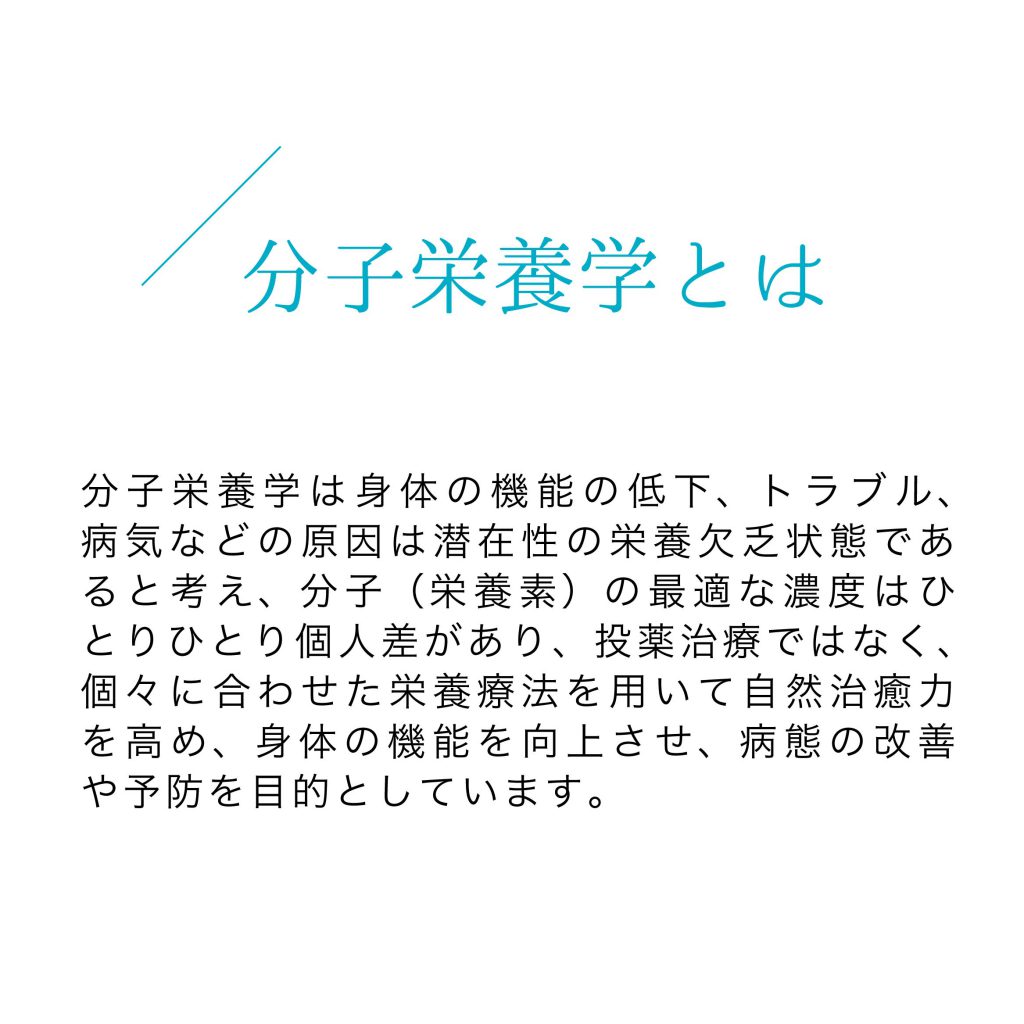 全6回(一括) カラダは食べたもので出来ている。 子育てのための分子栄養学セミナーの紹介画像2
